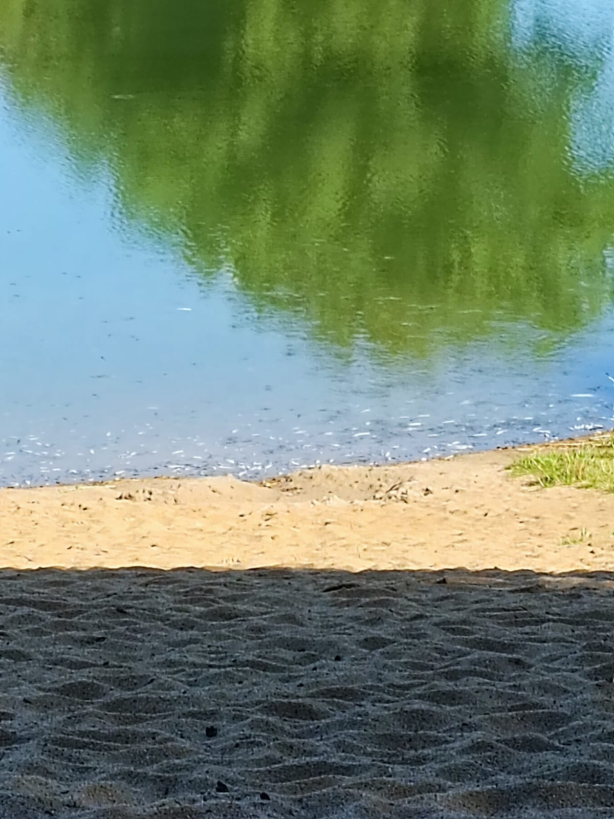 Sauerstoffmangel 2023